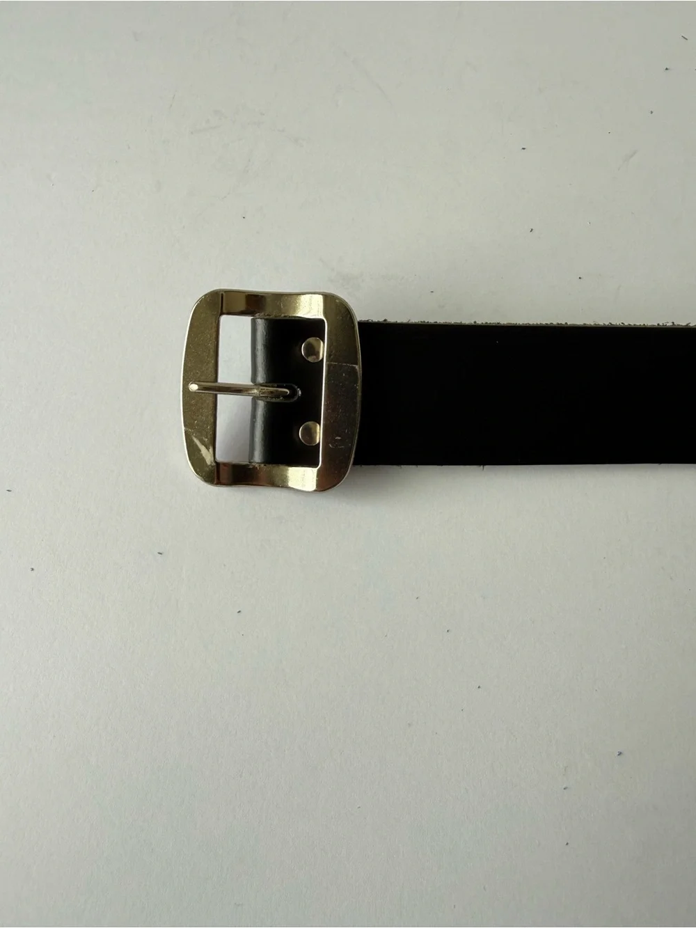 Vintage Etro Leather Belt Men 40-100-115  Made In Switzerland Animal Metal studs